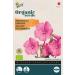 Buzzy Organic Mallow Rose/red(BIO)