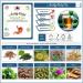 Acidity Relief Herbal Tea-Caffeine free-Loose Leaf (4 gm) - Buy Online on GoSupps.com