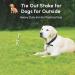 1Above_20ft(6m) heavy duty Dog stake and tie out cable with 16 Inch spiral ground stake Puppy pet Outdoor Tie Out Lead Leas - Buy Online on GoSupps.com