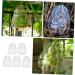 SUPVOX 5pcs Vegetable Fruits Adorable Growing Mini Growth Pear Statue Fruit Gardening Melon - Buy Online on GoSupps.com