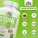 Logic Nutra Chanca Piedra Kidney Stone Breaker 800mg - 120 Tablets for Gallbladder Cleanse & Urinary Pain Relief - Buy Online on GoSupps.com