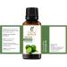 Key Lime Oil 15 ML - 100% Pure Therapeutic Grade Citrus Essential Oil | Natural & Undiluted Key Lime Oil 0.51 Fl Oz - Buy Online on GoSupps.com