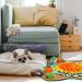 Snuffle Mat for Dogs Interactive Dog Enrichment Toys Mental Stimulation Boredom Play Mat Dog Treats Feeding Mat With Puzzles Encourages Natural Foraging Skills Orange - Buy Online on GoSupps.com