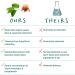 Pure Synergy Super Pure Resveratrol 60 Capsules - Antioxidant Support & Heart Health - Buy Online on GoSupps.com