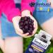 Sambucol Black Elderberry Immunity Gummies | Immune Support & Antioxidant | Quickly Relieves Cold & Flu Symptoms | Ideal for Families | Gluten Free | 90 Gummies Black Elderberry 90 count (Pack of 1) - Buy Online on GoSupps.com
