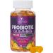 Daily Probiotic Gummies Extra Strength, 5 Billion CFU Probiotics for Men and Women, Digestive Health, Immune Support, Gluten Free, Non-GMO, Natural Orange Flavor by Nature's Nutrition - 60 Gummies 60 Count (Pack of 1)