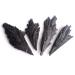 Natural Crystal Rough 30g/50g Natural Rough Black kyanite Peacock Tail Aura Decorative SpecimenStones (Color : 30g 3-6pcs) (Color : 30g 3-6pcs)