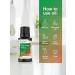 Cucumber Melon Fragrance Oil 0.51 fl oz - Premium Grade for Diffusers, Candle & Soap Making | Horbaach - Buy Online on GoSupps.com