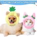 Fun Cat Hat & Cute Rabbit Ears Costume for Cats and Small Dogs Perfect Party Accessories for Kittens & Puppies - Buy Online on GoSupps.com