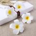 FRCOLOR Hawaiian Plumeria Flower Hair Clip Wedding Bridal Barrette - 10 Pieces - Buy Online on GoSupps.com