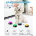 Carseatty Dog Buttons for Communication and Training 6 Pack Recordable Dog Buttons Pet Command Buzzer with Stickers and Anti-Slip Mat 30 Second Record Speech Training Buttons Multicolour - Buy Online on GoSupps.com