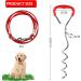 EfuturTime Large Dog Tie-Out with 3m Leash & Ground Anchor | Ideal for Outdoor Camping & Farms | Perfect for Small to Large Dogs - Buy Online on GoSupps.com