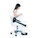 Supportiback Ergonomic Supportiback+ Therapy