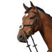 Collegiate Syntovia+ Padded Raised Grackle Bridle Black Full