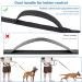 Ownpets Hands Free Dog Lead with Waist Bag - Shock-Absorbing, Dual-Handle, Reflective Bungee Stretch Leash for Running, Walking, and Dog Training - Buy Online on GoSupps.com