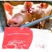 Boar Semen Extender - Long-Term Nutrition Powder for Pig Animal Semen | 7-14 Days Dilution Powder - Buy Online on GoSupps.com