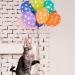 Dher Pet Birthday Set - Pink Sequin Hat & Party Decoration for Dogs & Cats | Festive Birthday Accessories - Buy Online on GoSupps.com