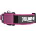 Julius-K9 Adjustable K9 Neck Band with Handle - Pink Gray 40mm (38-53 cm) | Safety Closure & Logo - International Shipping Available - Buy Online on GoSupps.com
