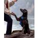 Joytale Reflective Dog Harness for Large Dogs - Adjustable Soft Padded Breathable with Control Handle - XL Navy Blue - Perfect for Training & Daily Walks - Buy Online on GoSupps.com