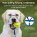 PetSafe Gentle Guide Collar - Beige Medium | Includes Training DVD | International Shipping - Buy Online on GoSupps.com