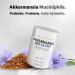 Codeage Akkermansia Muciniphila Probiotic Ultra - High-Potency 500M AFUs Akkermansia Probiotic Supplement - Enhanced Daily Probiotic & Prebiotic Chicory Inulin - 3-Month Supply - 90 Capsules - Buy Online on GoSupps.com
