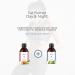 L Carnitine Thermo Night Burn: Liquid Nighttime Fat Burner for Fast Weight Loss - Caffeine-Free & Natural Formula for Women and Men - Buy Online on GoSupps.com