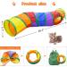 Malier Cat Toys Set - Interactive Collapsible Cat Tunnels, Feather Toy, Crinkle Balls - for Indoor Cats, Kittens, and Small Pets - A-Rainbow - Buy Online on GoSupps.com