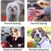Adjustable Dog Muzzle - Velcro Fastener Breathable Mesh Safe for Barking & Chewing - XL Gray - Buy Online on GoSupps.com