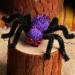 Sirseon Halloween Hair Clips - Halloween Spider Shape Hairpins - Spider Design Pins Portable Spider Shape Hair Pin for Girls Family Friends Purple - Buy Online on GoSupps.com