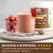 Amazing Grass Protein Digest Mayan Chocolate 14.2 oz - 5 Billion CFU - Vegan Superfood - Buy Online on GoSupps.com