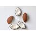Oli & Carol Coconut Teething Ring & Bath Toy | Natural Rubber Coconut Toy for Babies - Buy Online on GoSupps.com