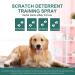 Noobecr Cat Spray Deterrent - Indoor and Outdoor Cat Repellent for Scratching Prevention and Boundary Control - Green - Buy Online on GoSupps.com
