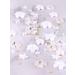 3D White Flower Nail Charms - Lorvain 24 Grid Nail Art Decoration with Golden Beads for DIY Manicures & Jewelry | International Shipping Available - Buy Online on GoSupps.com