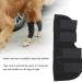 Stability Support Dog Leg Support Neoprene Pet Knee Guard Stabilize Arthritis for Dog Leg Guard(Black S) - Buy Online on GoSupps.com