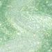 OPI Nail Polish Infinite Shine Long-wear System 2nd Step Taurus-t Me Big Zodiac Energy Collection Green Nail Polish 15ml - Buy Online on GoSupps.com