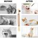 HBINGL Silvervine Chew Sticks for Cats 4 pcs Brown Catnip Chew Sticks for kitten Cat Teeth Nip Cleaning Teeth Chew Catnip Toys Natural Cat Teeth Nip Cleaning Catnip for Indoor Cats - Buy Online on GoSupps.com