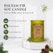 ADK Balsam & Fir Scented Candle | 10 Oz Natural Aromatherapy for Home & Kitchen D cor | Relaxing Plant-Based Wax Gift Candle - Buy Online on GoSupps.com