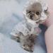 Dog Costume Pet Hat Breathable Good-looking Round Neck Puppy Lace Skirt for Dog Supplies Pet Princess Dress Pet Princess Dress White S - Buy Online on GoSupps.com