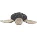 Trixie Be Nordic Plush Turtle Toy for Dogs - Durable Maritime Cuddly Toy for Play & Snuggle - 36062 - Buy Online on GoSupps.com