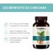 Himalaya Curcuma 95 Suppl ment avec curcumine/curcumino des soutient le syst me immunitaire r sistance aux allergies 600 mg v g talien sans gluten 60 capsules Turmeric 95 - Buy Online on GoSupps.com