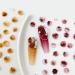 50Pcs Camellia 3D Flowers For Nails 3D For Art Bow For Nails Jewelry Trendy - Buy Online on GoSupps.com