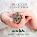 JNP Farms Timothy Hay Cubes for Small Animals |1lb| 100% Natural High Fiber Treats Promotes Digestive & Dental Health Made in Canada - Buy Online on GoSupps.com