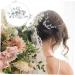 DOITOOL Bridal Hair Comb Clip Rhinestone Hair Comb Bridal Hair Side Comb Wedding Hair Accessories for Brides Bride Hair Comb Bride Hair Accessories Rhinestones Iron Sheets The Flowers - Buy Online on GoSupps.com