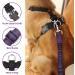 Lukovee Dog Safety Vest Harness | Adjustable Pet Car Harness Seat Belt | Purple | Medium | Double Breathable Mesh Fabric - Buy Online on GoSupps.com