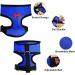 Molain Adjustable Chicken Harness & Leash - Comfortable Vest for Ducks & Hens (2-11 lbs) - Breathable Mesh Training Gear (Blue) - Buy Online on GoSupps.com