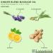 Ginger Lavender Massage Oil 100ml by Tanamera | Soothing Aromatherapy for Relaxation | International Shipping Available - Buy Online on GoSupps.com