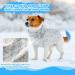Slowton Dog Sweater for Small Dogs - Turtleneck Pullover Knitted Winter Clothing for Dachshund & Chihuahua - Light Blue - Buy Online on GoSupps.com