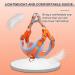 Rennaio No Pull Dog Harness & Leash Set - Adjustable Comfortable Chest Harness for Small & Medium Dogs - Orange (L) - Perfect for Training & Walking - Buy Online on GoSupps.com
