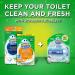 Scrubbing Bubbles Fresh Brush Toilet Cleaning System - Citrus Scent Flushable Refills 28 Brush Pads - International Shipping Available - Buy Online on GoSupps.com