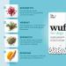 Dr. Sam Wurm Kraut Tablets for Dogs - Plant-Based Worm Cure & Gastrointestinal Support (Up to 20kg) - Monthly Pack - International Shipping - Buy Online on GoSupps.com
